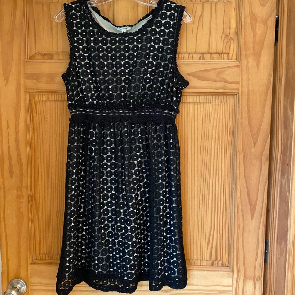 Max Studio Dress